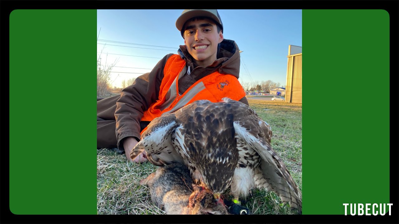 How to a Falconer Four Easy Steps! YouTube