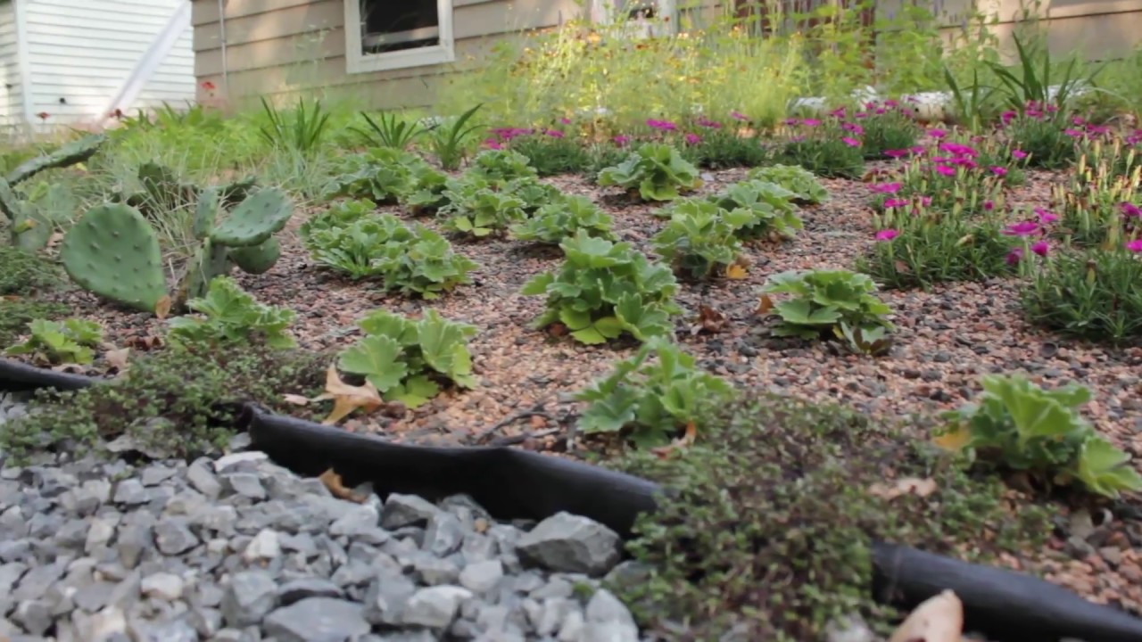 PWSA Project Stormwater Episode 3