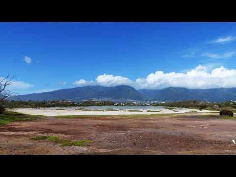 Video: Kahului - Was zu sehen und zu tun und wo man einkaufen kann