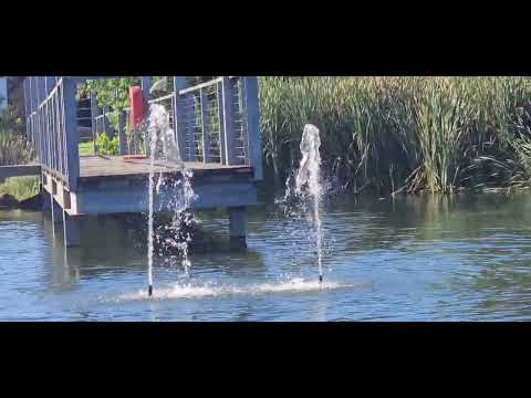 Roaming around the park and filming 