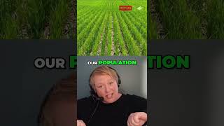 Wheat Planting Secrets: Boost Yields, Optimize Population! #shorts