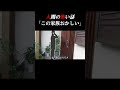 【ヒトコワ】この家族おかしい　#shorts 【ヒトコワ】【人怖】