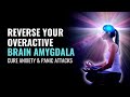 Reverse Your Overactive Brain Amygdala | Lessen Fear Response in Body | Cure Anxiety & Panic Attacks