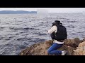 小さな磯ぎわ攻防戦！高級魚と大物