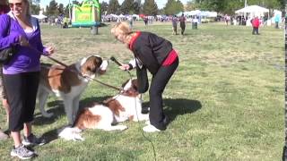 Pet A Palooza 2014, Las Vegas