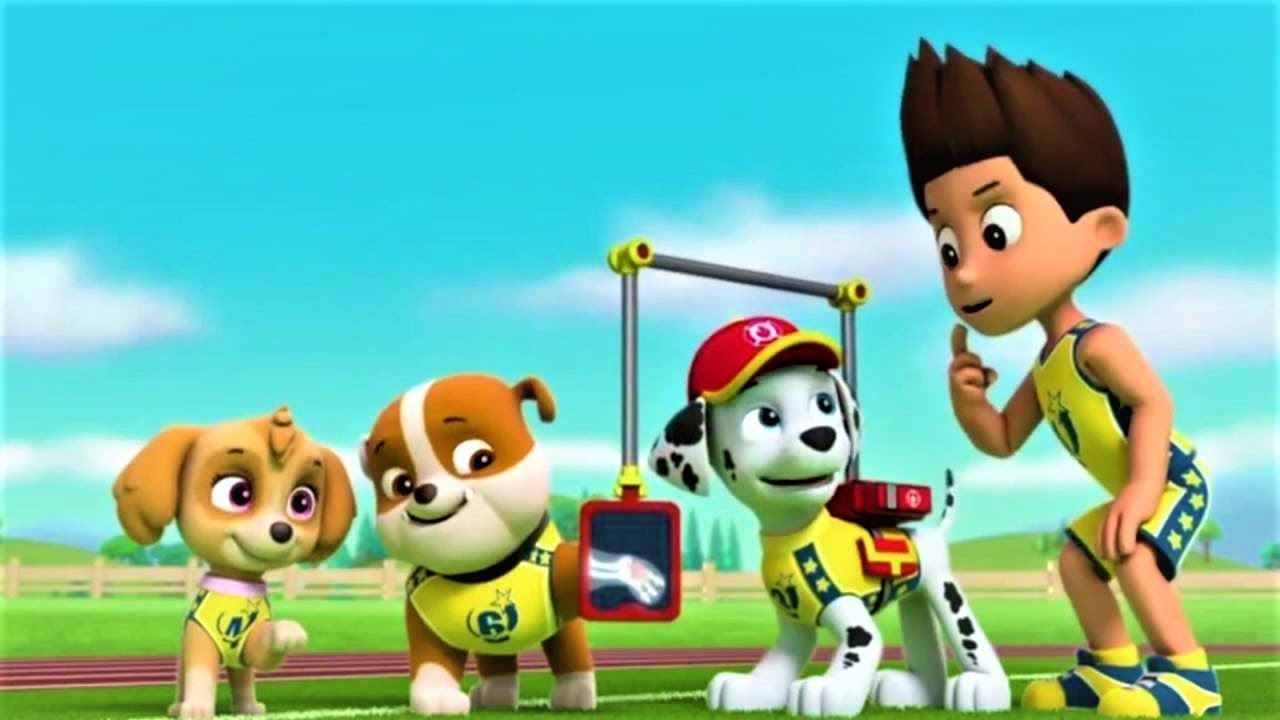 free paw patrol episodes