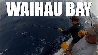 Far Out | Waihau Bay 2x Striped Marlin