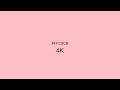 Baby Pink Screen 1 Hour 4K – Soft Aesthetic Background for Relaxing &amp; Study No Ads