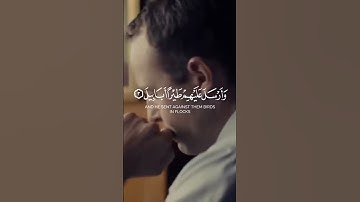 #القران_الكريم #duet #القارئ #احمد_العجمي #اكسبلور