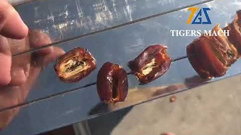 Date pitting and cutting machine