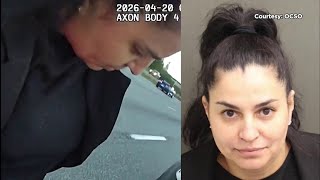 Florida immigration agency defrauds hundreds of undocumented migrants out of $20M, sheriff says