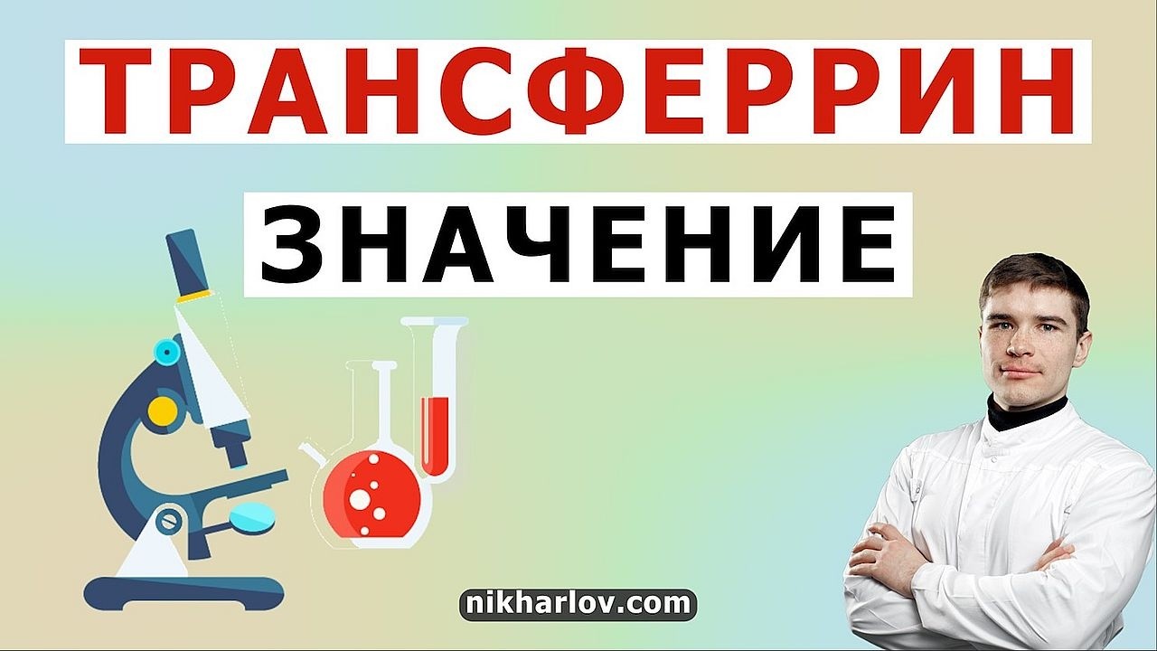 Что такое трансферрин в анализе крови. Что значит коэффициент насыщения трансферрина.