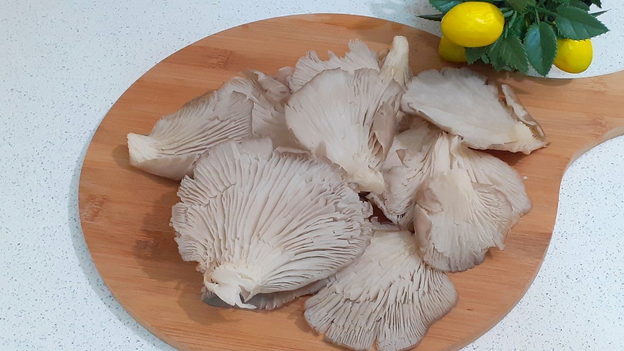 İstiridye mantar Kızartması ||bu tarifle denemelisiniz /Yemek Tarifleri