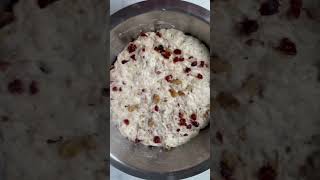Crusty Cranberry No Knead Bread