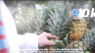 Orginalet....white Ica