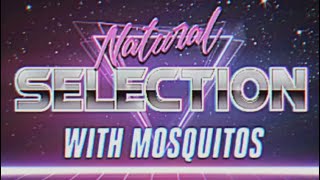 Mosquito Evolution | A school project about Natural Selection and Mosquitos