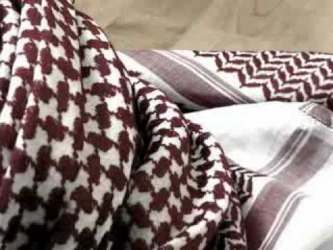 الشيخ الشايش نايف الخريشا