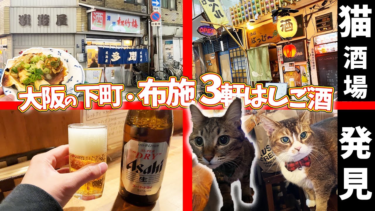 【猫】大阪の下町、布施で飲んでたら猫天国や！ #はしご酒 #大衆酒場 #立ち飲み #大阪