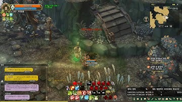 TOS Druid use Double Punch & diev skills when using transform