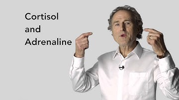 Roger Anunsen "The Aging Mind: Emotion and Memory"