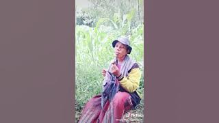 #tiktok singgle turagan tani/cinta hitam