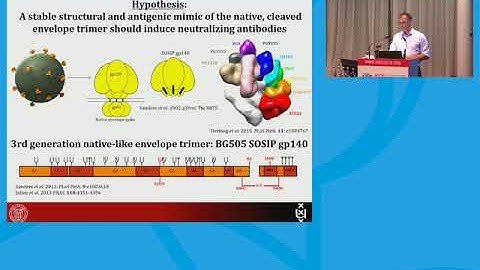 Broadly neutralizing antibodies (bNabs): Towards a cure and vaccine