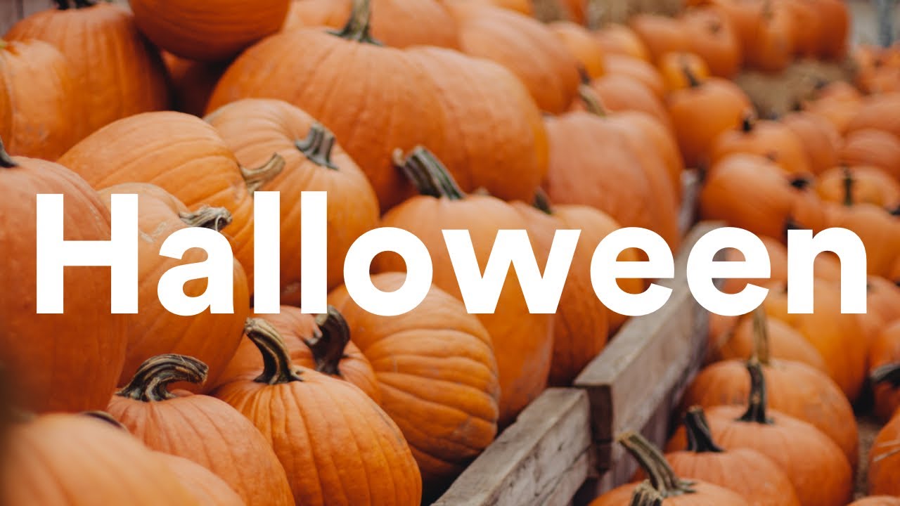 EF Exchange Stories: Halloween in Texas