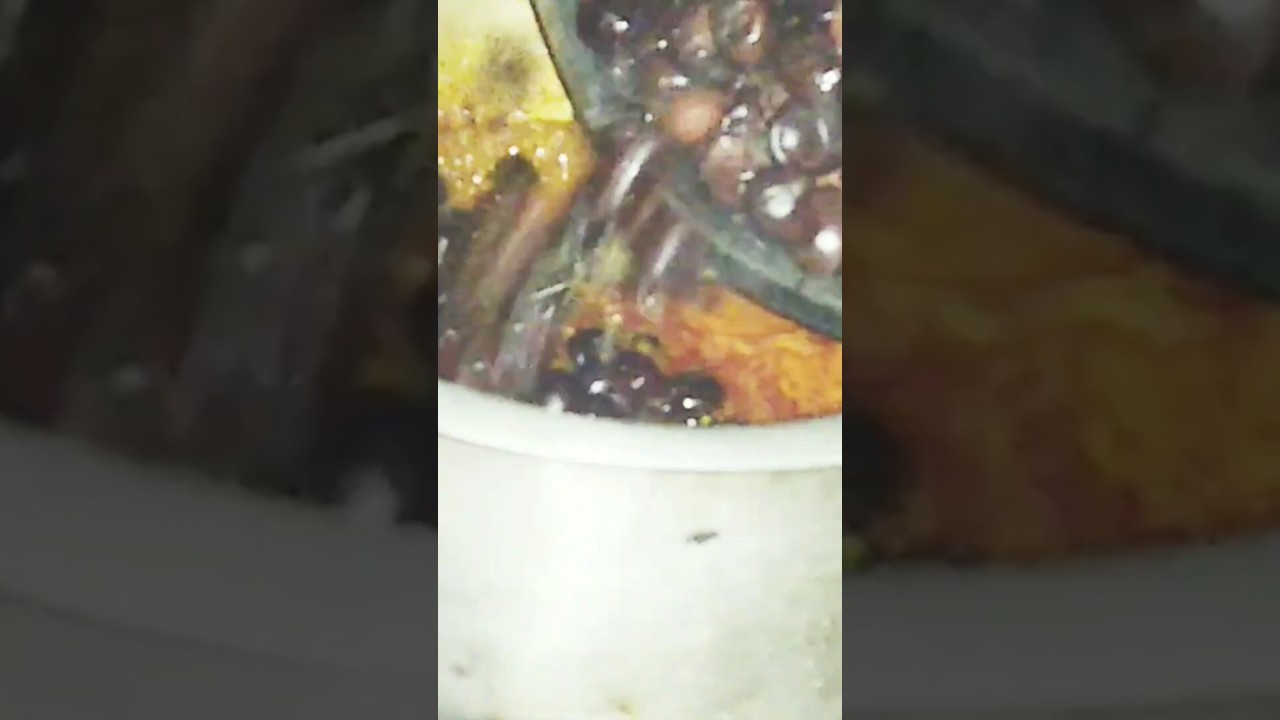 Boroi Acchar | Plam Pickle