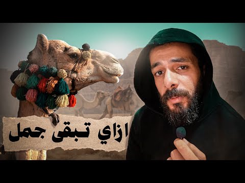 الحياة من وجهة نظر الجمل