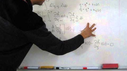 Dynamic Optimization - the Euler-Lagrange equations