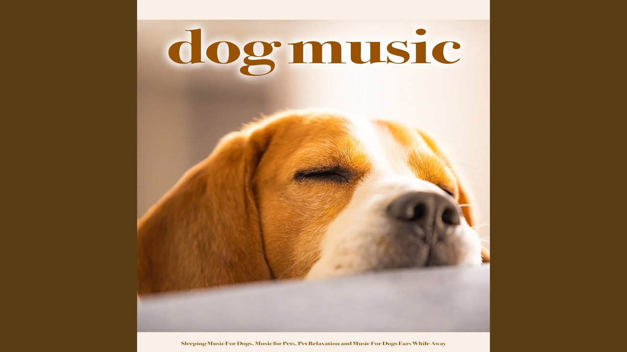 Dog Music - YouTube