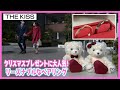 【クリスマスに】ペアリングで深まる絆　恋noミカタ#87