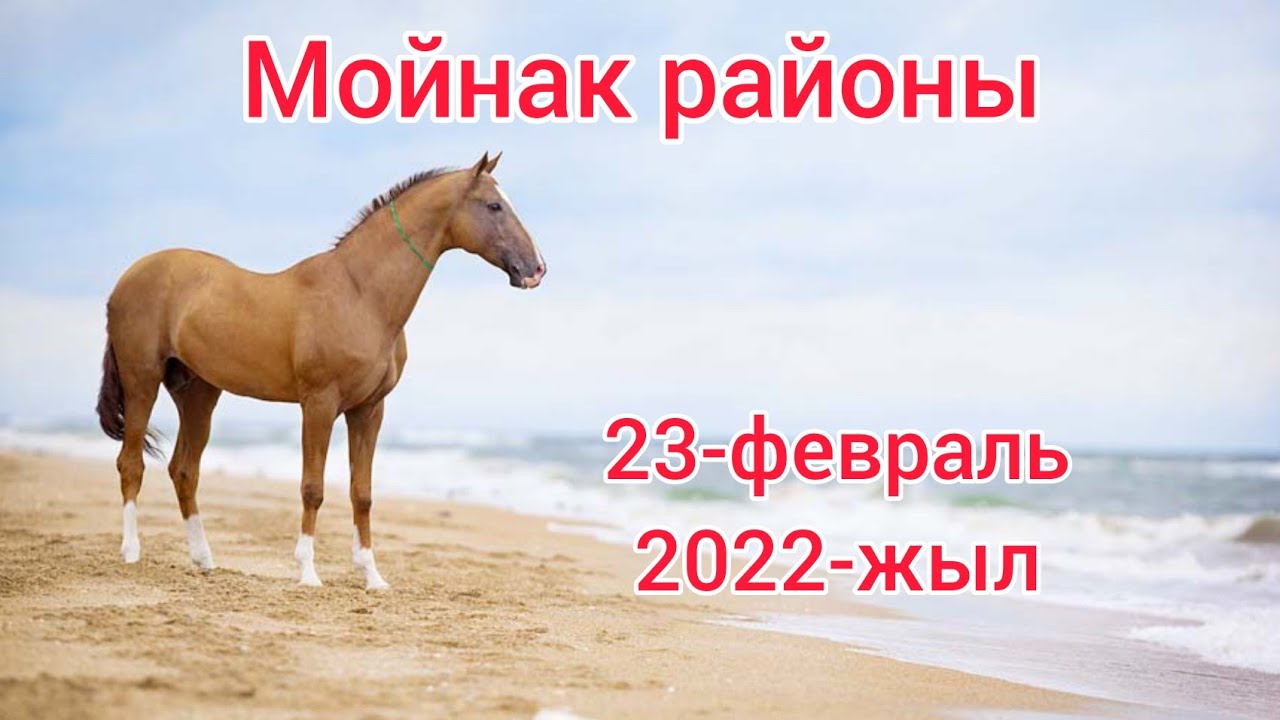 Каракалпакстан Республикасы Мойнак районы Дослык совхозы