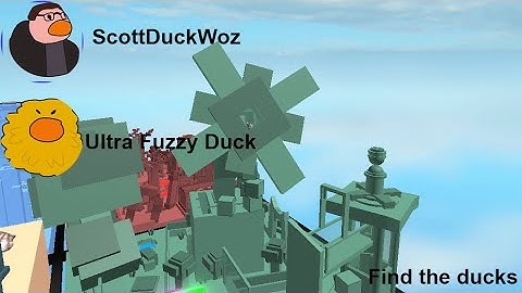 Find the ducks: ScottDuckWoz and Ultra fuzzy duck