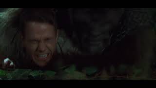 Planet of the Apes - Evolutionary ladder Details