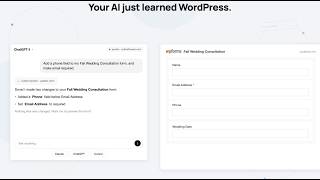 WPForms: More Than a WordPress Form Builder