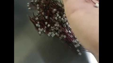 2p Paralle Wire Tin Dipping Machine,Single Head End Plug Shell Tinning Machine,Automatic Wire Tinnin