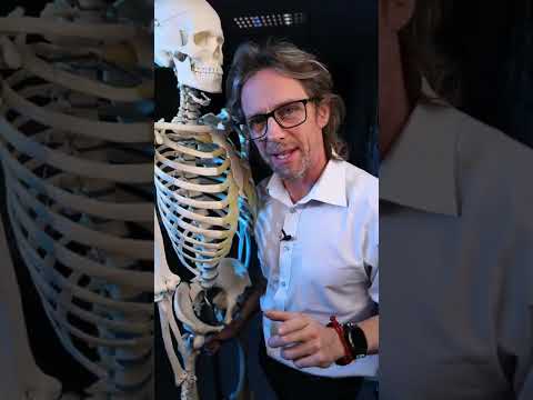 Video: Wat beteken nie-anatomies?