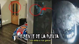 NUNCA TE LEVANTES en la MADRUGADA si ESCUCHAS a un GATO en tu CASA pues PODRÍA ser una TRAMPA