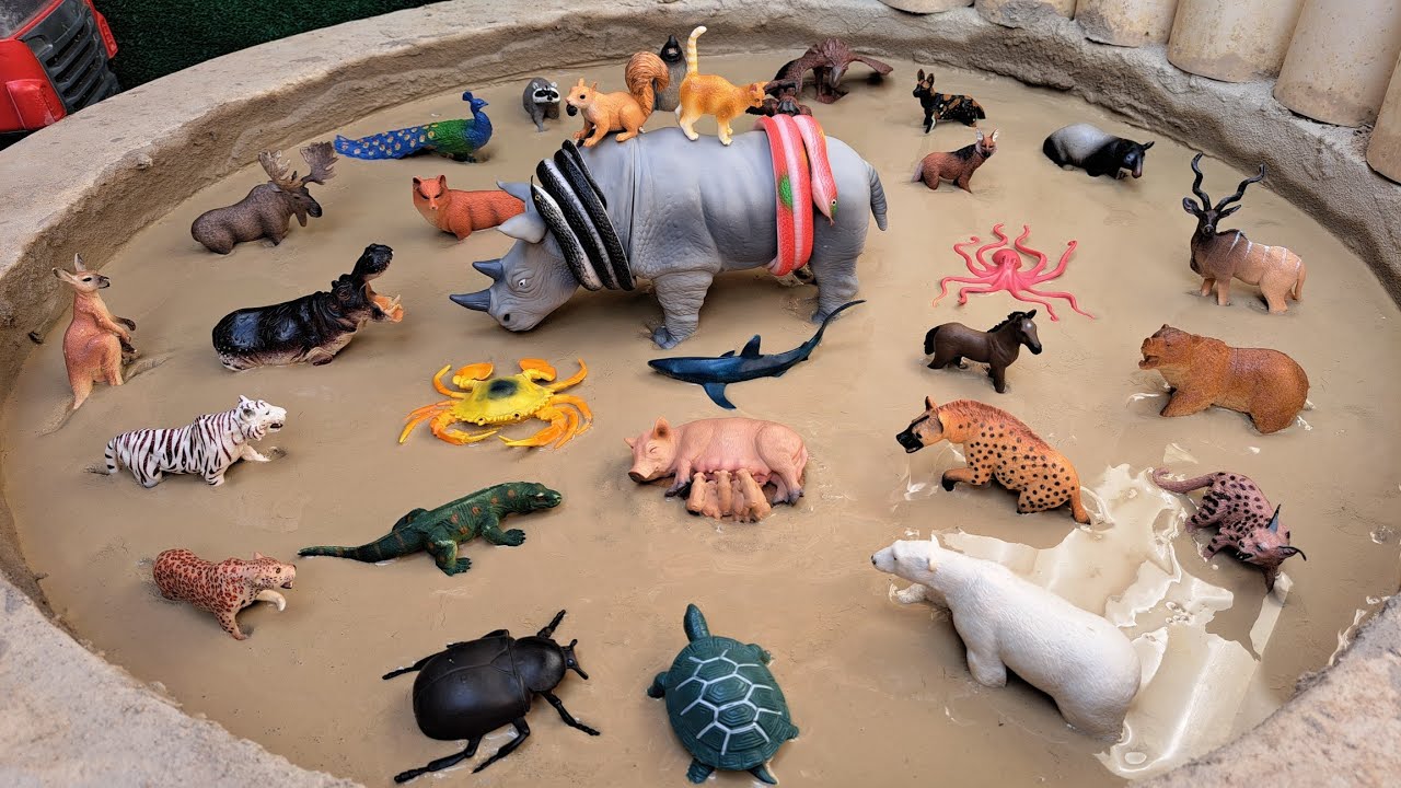 Animais Presos na Lama 🐯🐖 | Uma Grande Aventura – História Infantil 