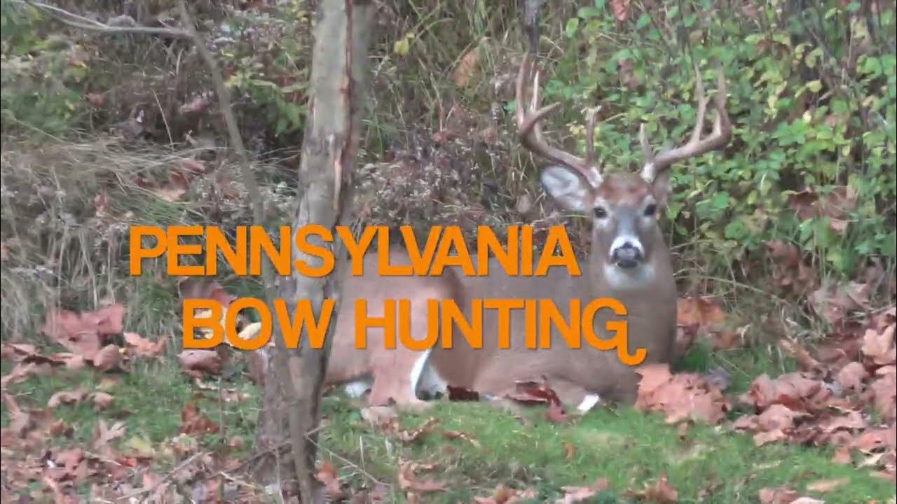 Northwest Pennsylvania Deer Hunting During the Rut YouTube