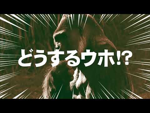 フリーローン篇