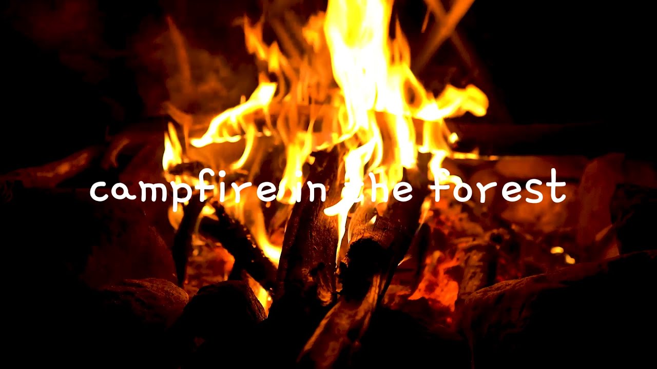 모닥불,asmr,불멍,힐링/ Bonfire, asmr, fire pit, healing