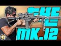 The DD Mk12 + AEM5 Suppressor