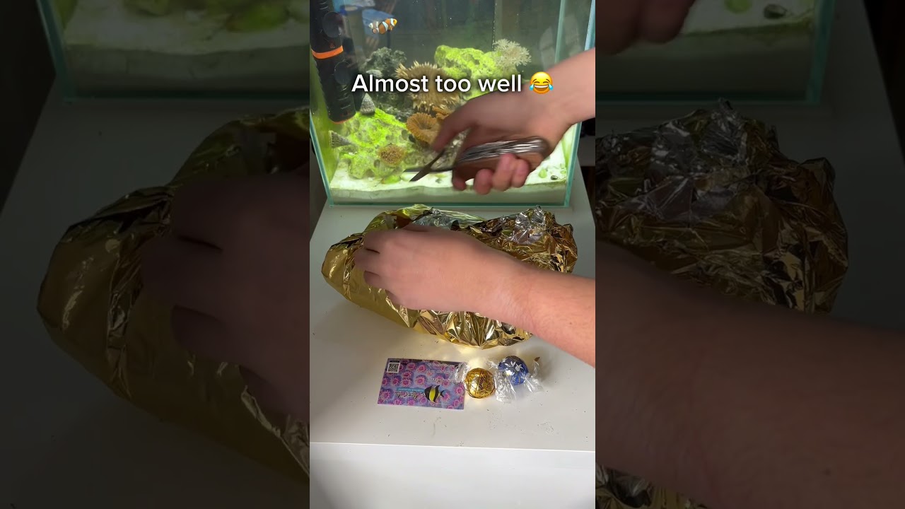 I couldn’t stop smiling when unboxing this Macroalgae🙃! 