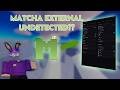 *NO BAN* I Used Matcha External on Roblox!