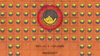 Sebjak & Fahlberg - Somebody (Abracadabra) Resimi