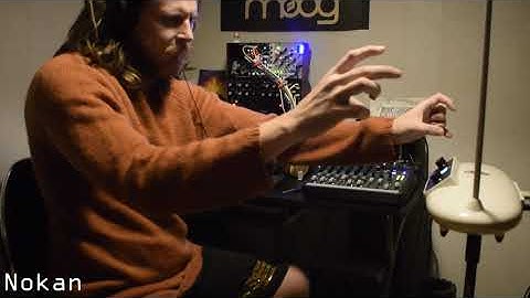 The Autopsy | Moog Mother 32, Dfam, Subharmonicon, Theremini Eurorack & TE PO 32