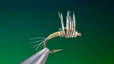 Tying the transitional midge with Barry Ord Clarke