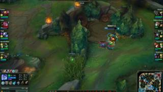 OP Chickens